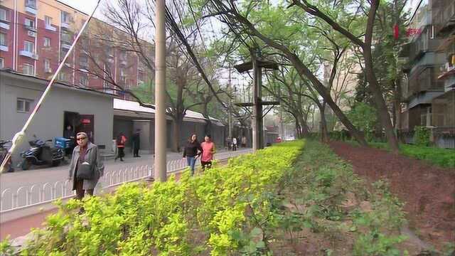 《北京市街道办事处条例》为民吹哨街道底气更足