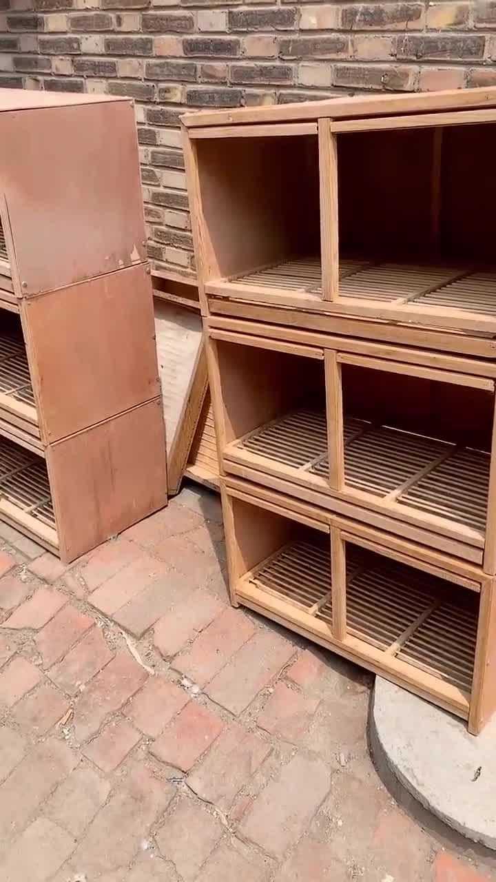 上农村买鸽子意外发现6个巢箱纯手工打造简直捡到宝了