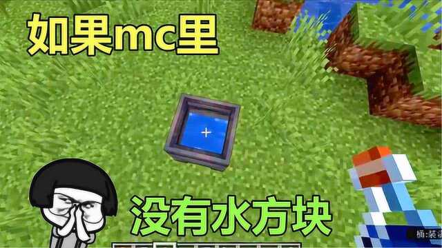 我的世界:如果mc里没有水方块该怎么生存?种植小麦可以解决温饱