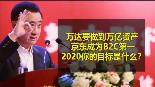 2020新目标!万达要做到万亿资产,京东要成B2C第一,你的是什么?