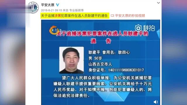 公安部A级通缉犯寇静瑶昨晚落网,系山西古交首富儿媳