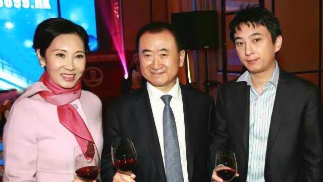 王思聪妈妈1亿私房钱救子,名下18家公司全注销引热议