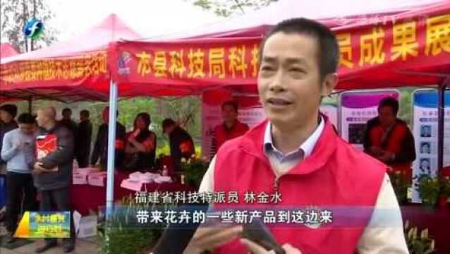 2020年漳州市文化科技卫生“三下乡”集中服务启动仪式在长泰举行