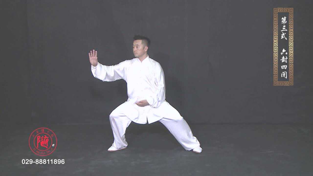 李彦斌演练陈式太极拳十三式
