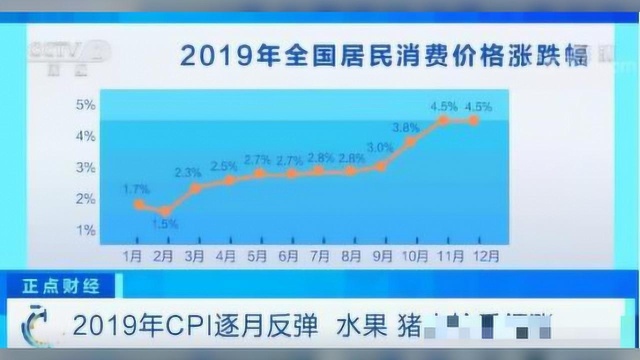 2019年CPI逐月反弹,水果、猪肉轮番领涨