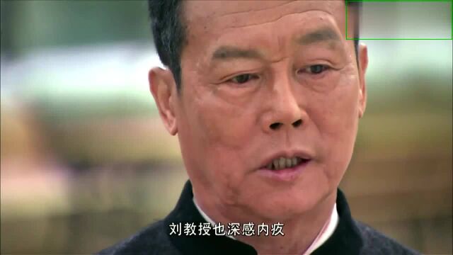 刘国正不愿让父亲背着罪名死去,违背父亲意愿重新研究FUT