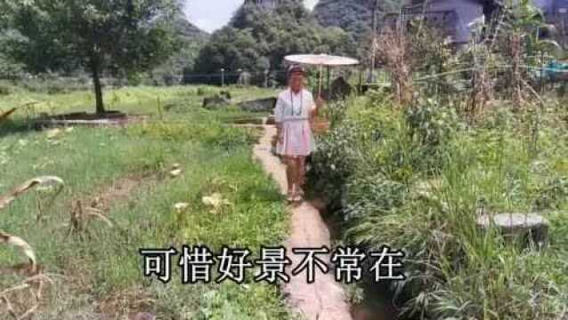 云南山歌《可惜好景不常在》经典山歌对唱!太好听了!