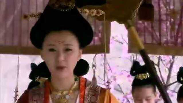 美人天下:皇后也被武媚娘感动,想去探望武媚娘,丫鬟竟这样说