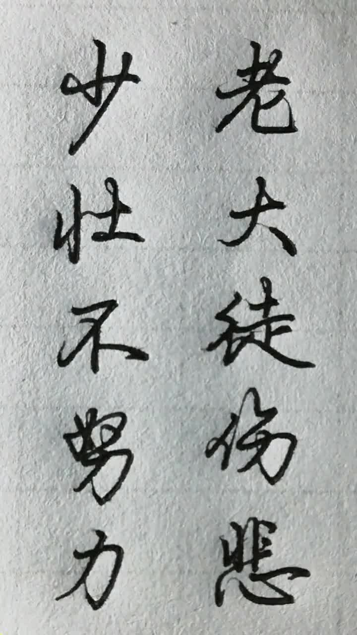 少壮不努力,老大徒伤悲.你们都懂这句诗的意思吧?