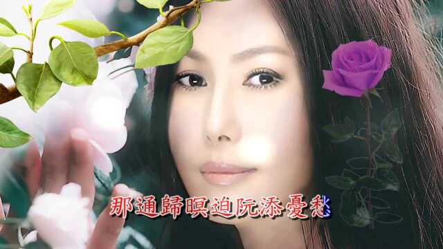 江蕙演唱《秋风夜雨》,周添旺作词,杨三郎作曲,江蕙金曲典藏