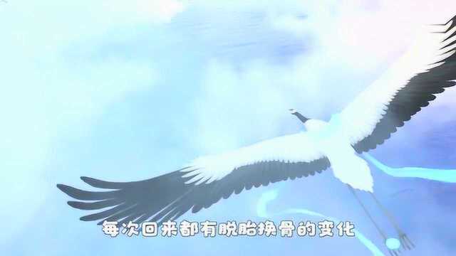 遮天:他空有大帝之资,却遇到开挂的叶凡,将一手好牌硬生生打烂