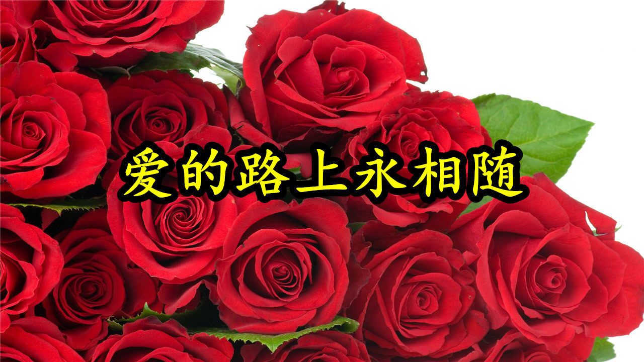 情歌mv爱的路上永相随我心里有你你心里有我