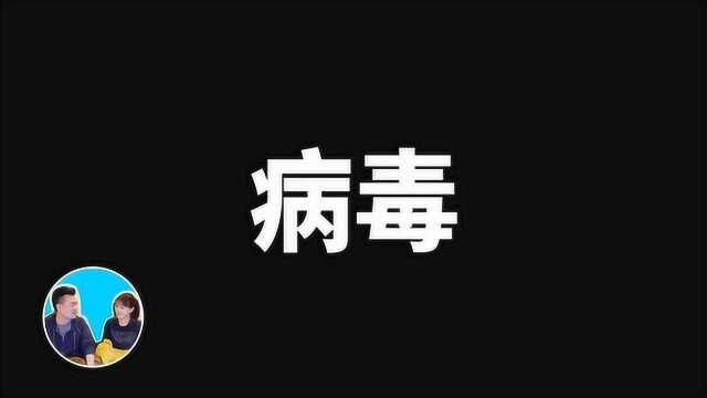 肺炎事件,给大家讲解一下病毒