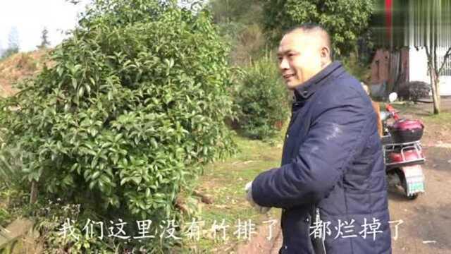 百般努力,电信网络终于肯迁进村里,现实问题又该如何解决呢