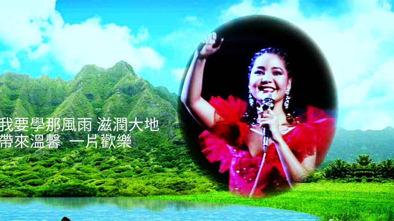 邓丽君演唱《风儿雨儿》,庄奴作词,邓丽君金曲典藏