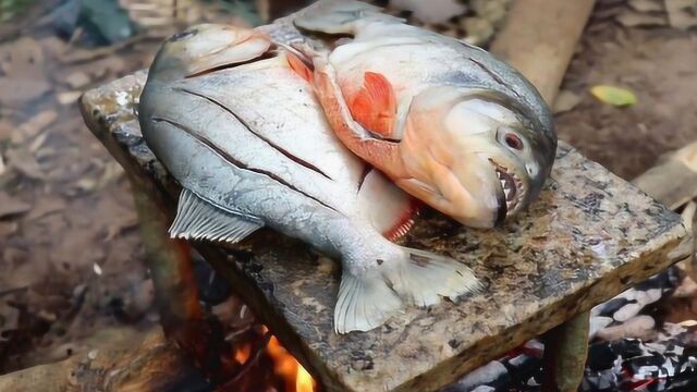 食人鱼真的能吃吗?老外亲自品尝,镜头记下全过程