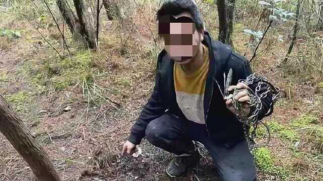 教训还不够吗?贵州男子捕杀食用果子狸被查处