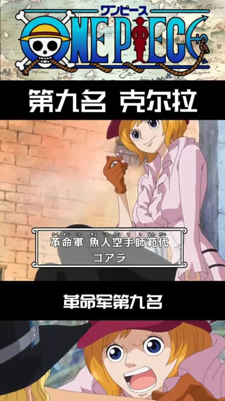海贼王革命军第九名二嫂克拉尔