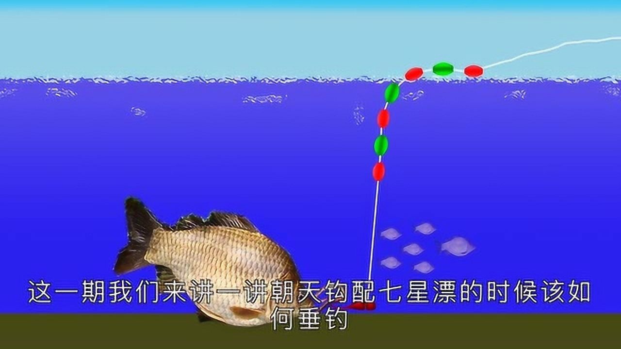 蚯蚓钓鲫鱼,使用七星漂时该如何调漂?这种调漂方法比台钓还简单