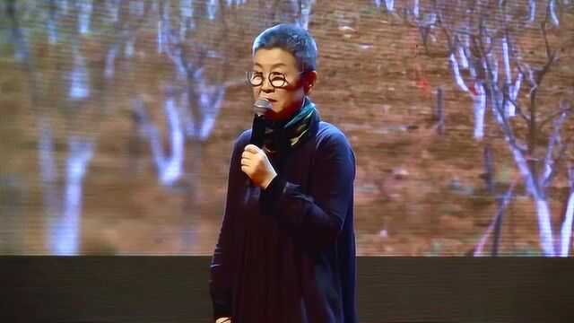 房住时代美好生活的乡村探路|董媛|TEDxShapoweiWomen