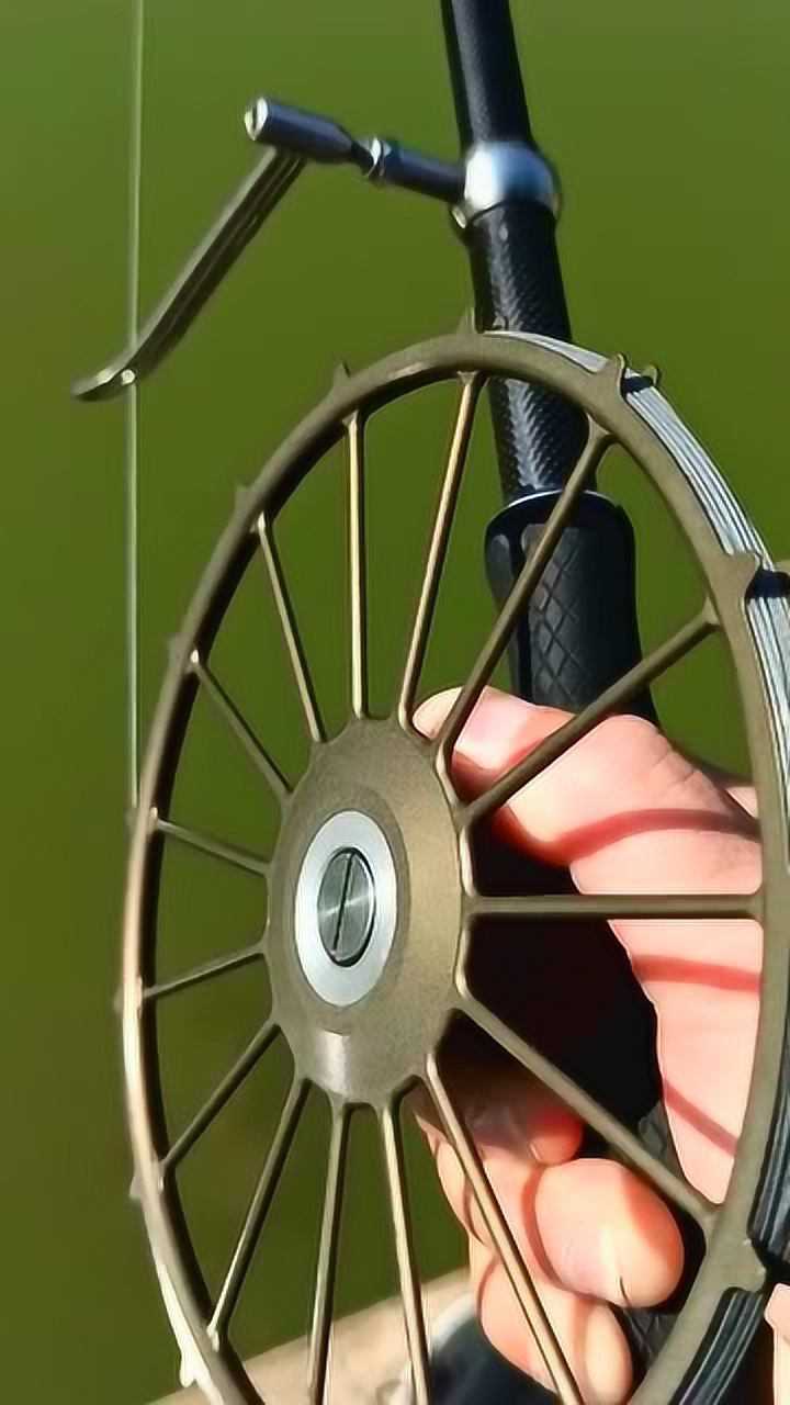 新手上路,甲鱼枪的第一条甲鱼_腾讯视频