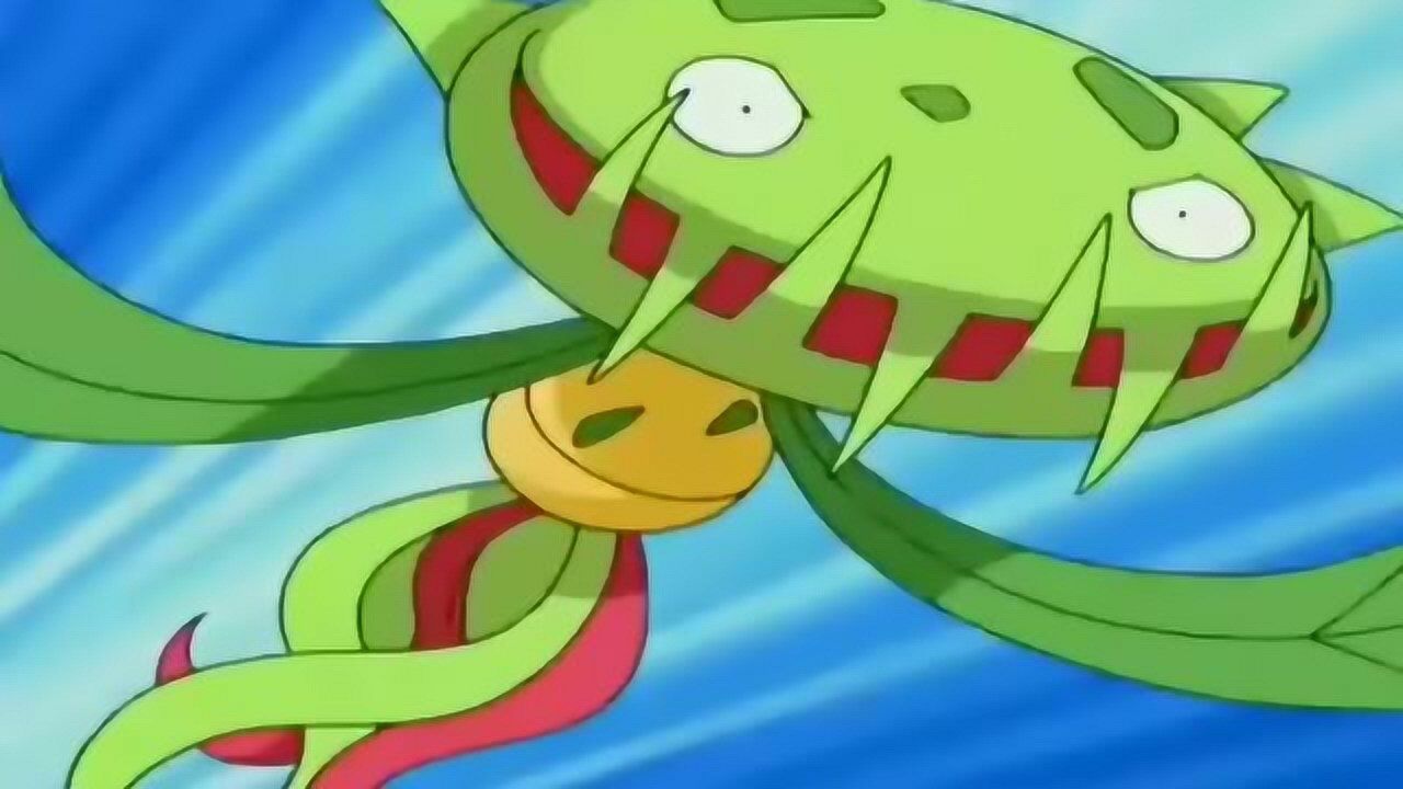 神奇宝贝:阳阳玛学会绝招,这进化的过程,也太不靠谱了