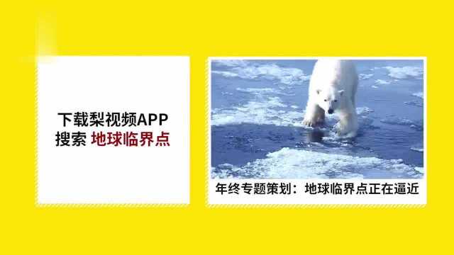 罗永浩与李诞合影引热议:罗永浩上吐槽大会没李诞啥事了