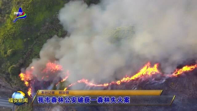 我市森林公安破获一森林失火案