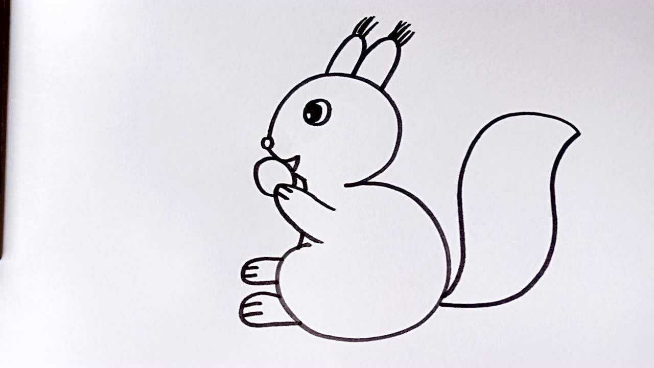 用3画小松鼠