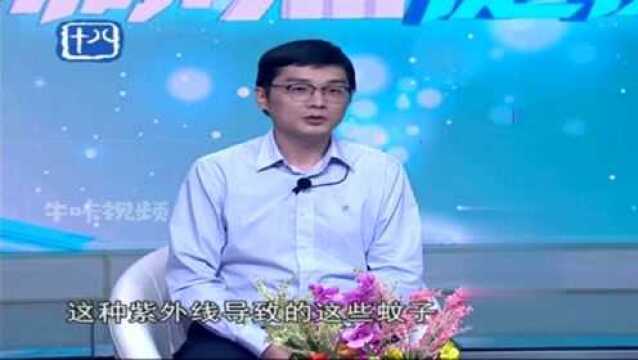 驱蚊小常识:灭蚊灯之所以不管用,是因招的大多是不吸血的摇蚊