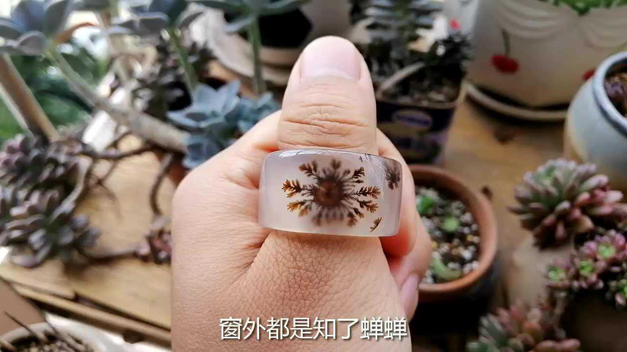 天帝之眼 海洋玉髓藏品级扳指