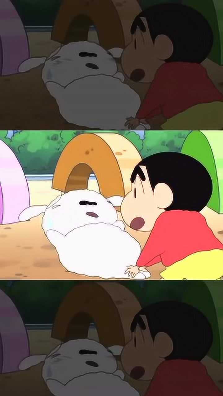 自律的小狗最可爱了!小白最后一个动作太赞了!《蜡笔小新》