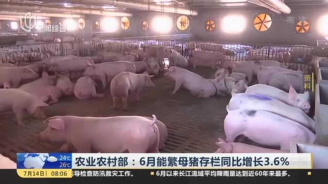 农业农村部:6月能繁母猪存栏同比增长3.6%