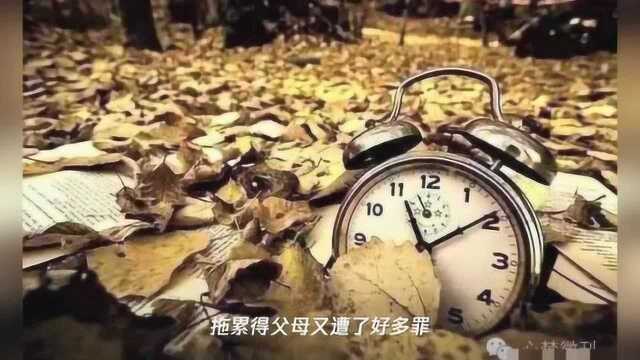 时间都去哪了?(散文)