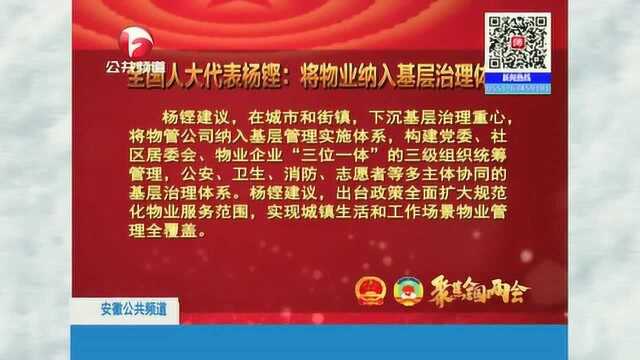 全国人大代表杨铿:将物业纳入基层管理体系