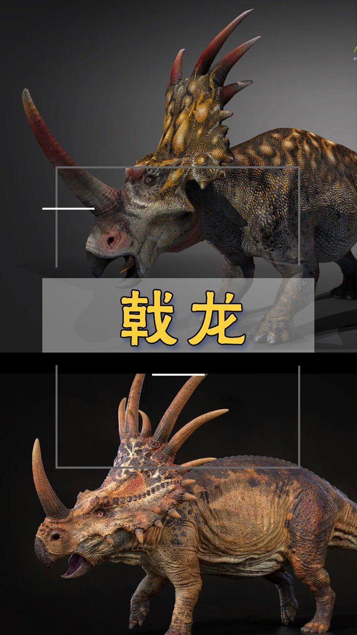 戟龙又叫刺盾角龙生活在白垩纪晚期是植食性角龙类恐龙的一种颈部长有