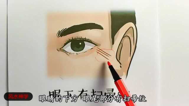 面相眼下有此纹,影响运势,要多留意.