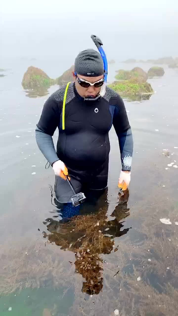 长岛赶海_腾讯视频