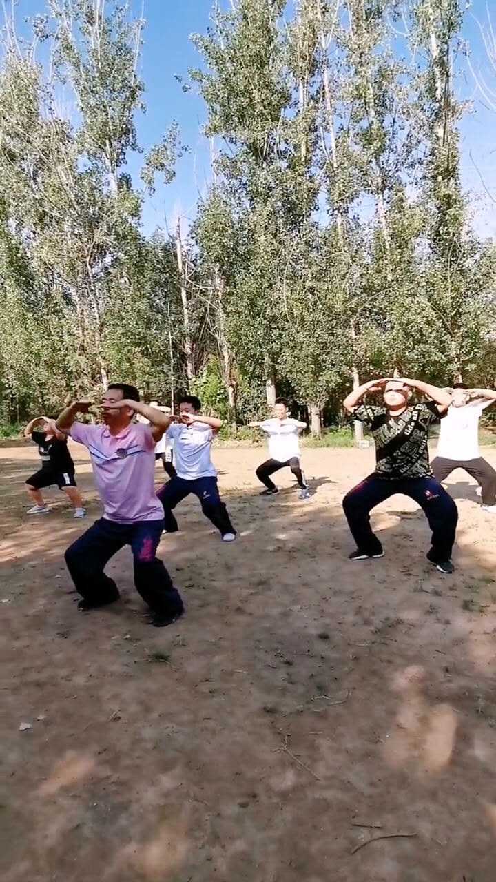 下:少林大金刚拳