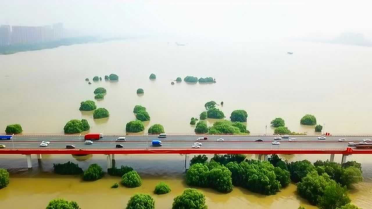 航拍武汉白沙洲,长江洪水水位大一点就会被淹没,只剩树梢漂在江面上!
