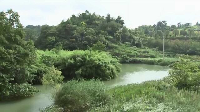 孙登峰巡查石板镇车田河