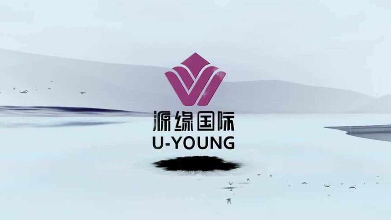 源缘国际口服内调品项片2020企划部