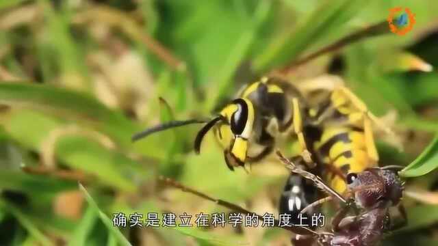 2211年会发生什么?霍金曾做出预言:人类必须逃离地球!