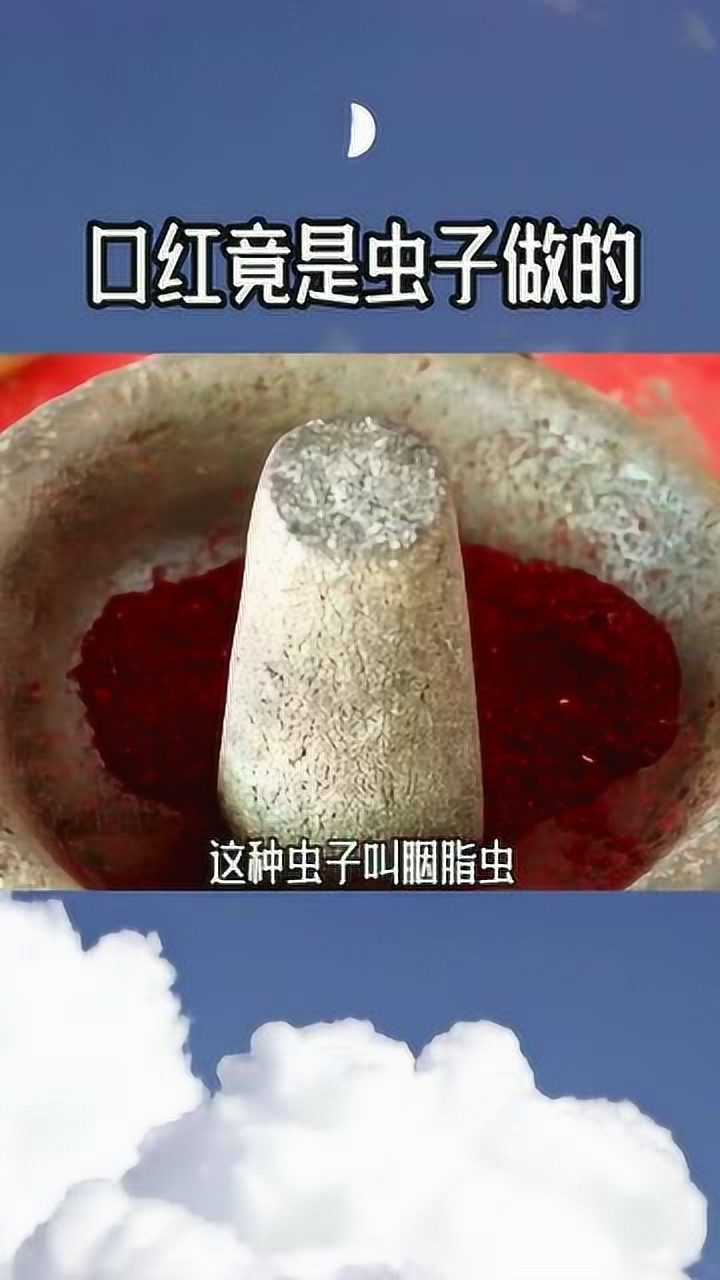 美女用的口红,竟然是虫子做的,看完你还敢涂口红吗?