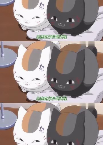 夏目友人帐家里突然出现了一只和猫咪老师一样的黑猫他是谁