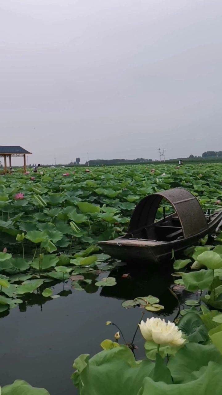 武陟大虹桥图片