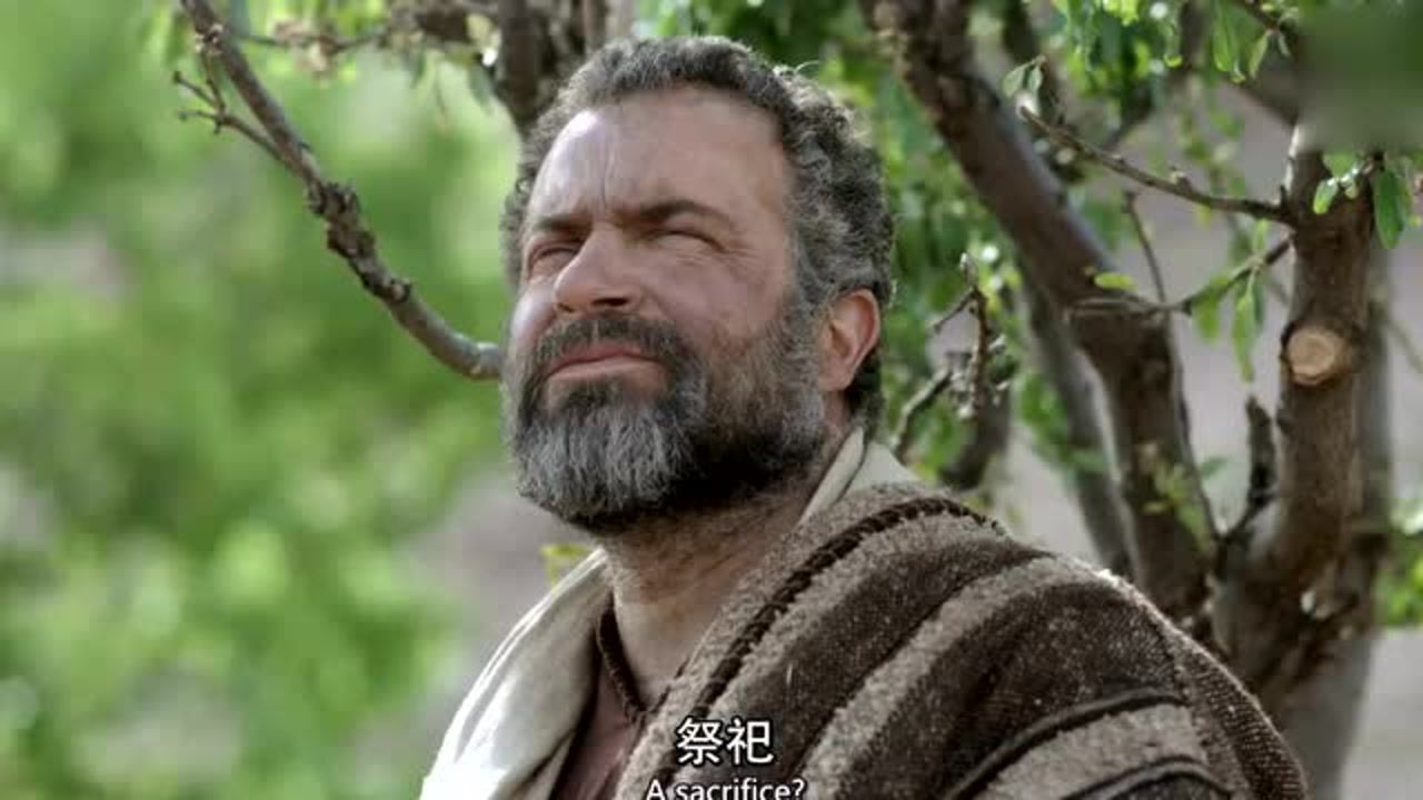 《圣经》亚伯拉罕之约,摩西十诫之前的故事!