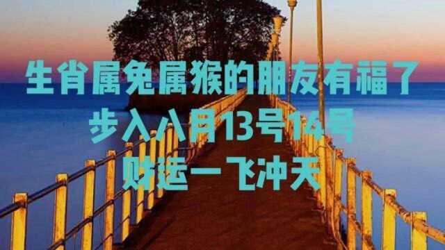 生肖属兔属猴的朋友有福了,步入八月13号14号,财运一飞冲天