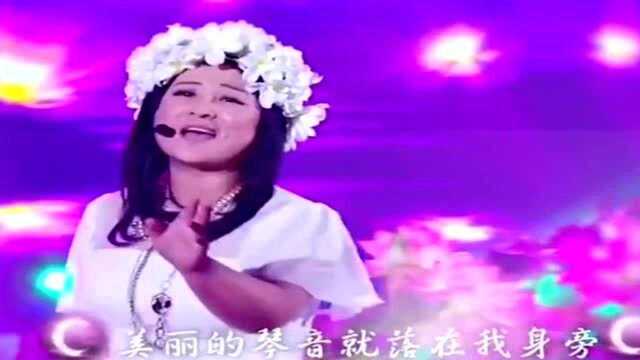 贾玲刘维经典模仿秀,爆笑演绎凤凰传奇的《荷塘月色》,二人为镜头也是拼了