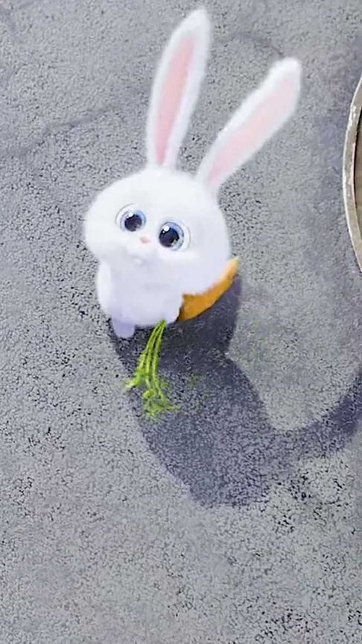 小白兔太可爱了,小白的竖屏壁纸